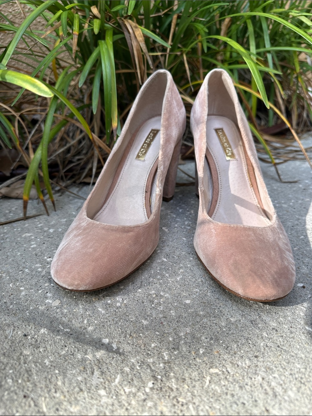 Suede Block Heel Pumps in Blush Pink - Women's Dress Shoes